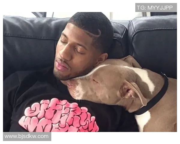 足球球星最宠爱的爱犬排名第一揭晓背后的温情故事